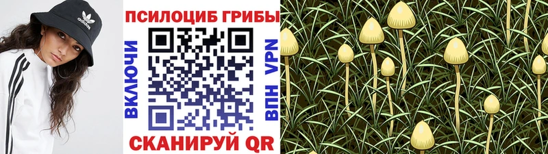наркошоп  Большой Камень  Псилоцибиновые грибы ЛСД 